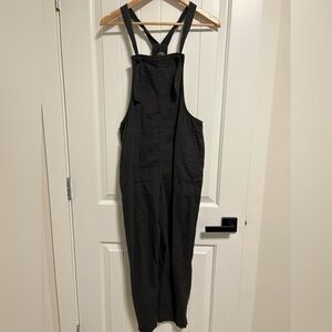 Aerie Charcoal Overalls